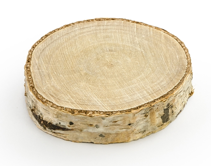 Baumstamm-Tischkärtchen