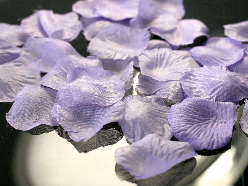 Rosenblüten groß Flieder